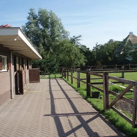 De Kievit Villa Vogelenzang Exterior photo