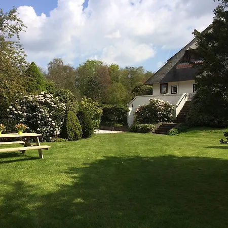 De Kievit Villa Vogelenzang Exterior photo