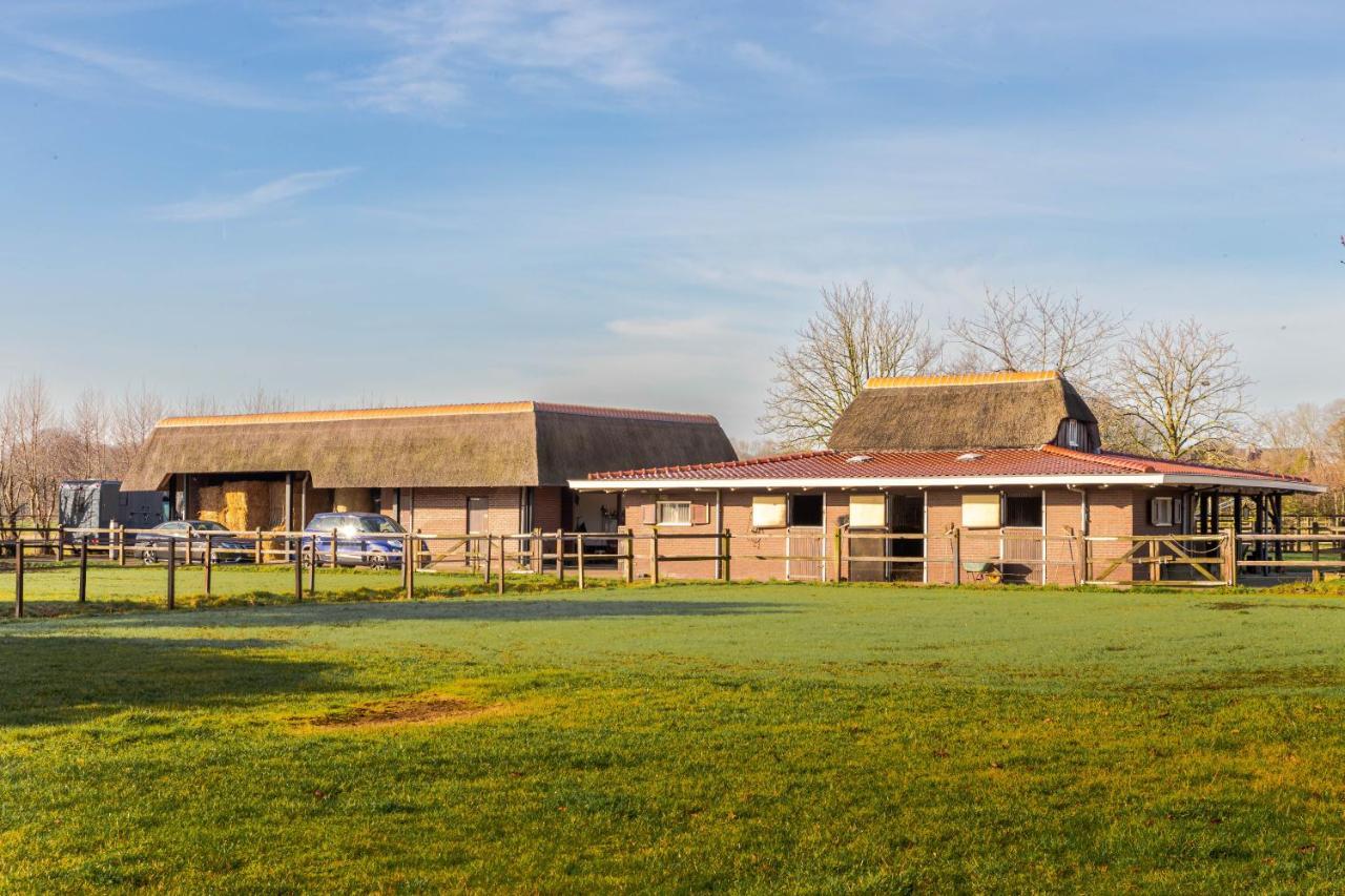 De Kievit Holiday home Vogelenzang